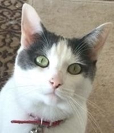 Millie